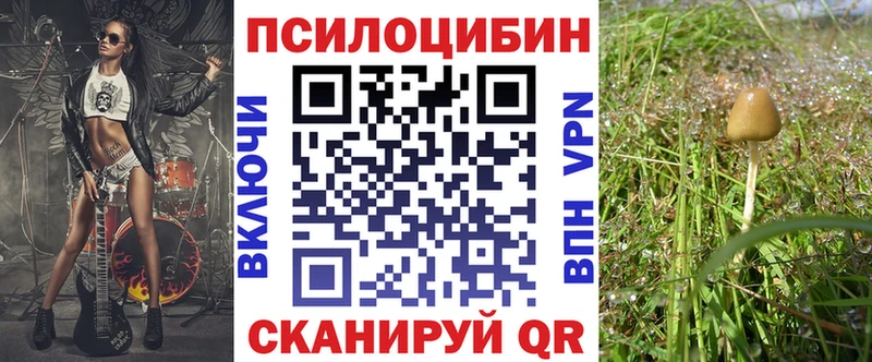 Галлюциногенные грибы Psilocybine cubensis Нариманов